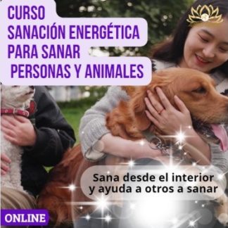  Curso de Sanación Energética.