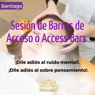 Sesión de Barras de Acceso o Access Bars