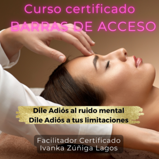 Curso de Barras de Acceso en Chile REPETICIÓN