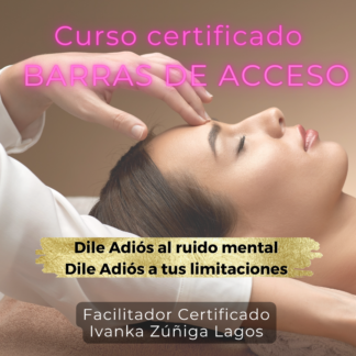 Curso de Barras de Acceso en Chile